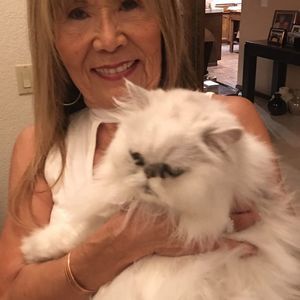 Meet your Posher, Joyce